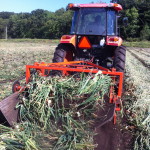 Undercutting the onions